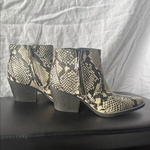 Circus by Sam Edelman Black and Cream Ankle Booties